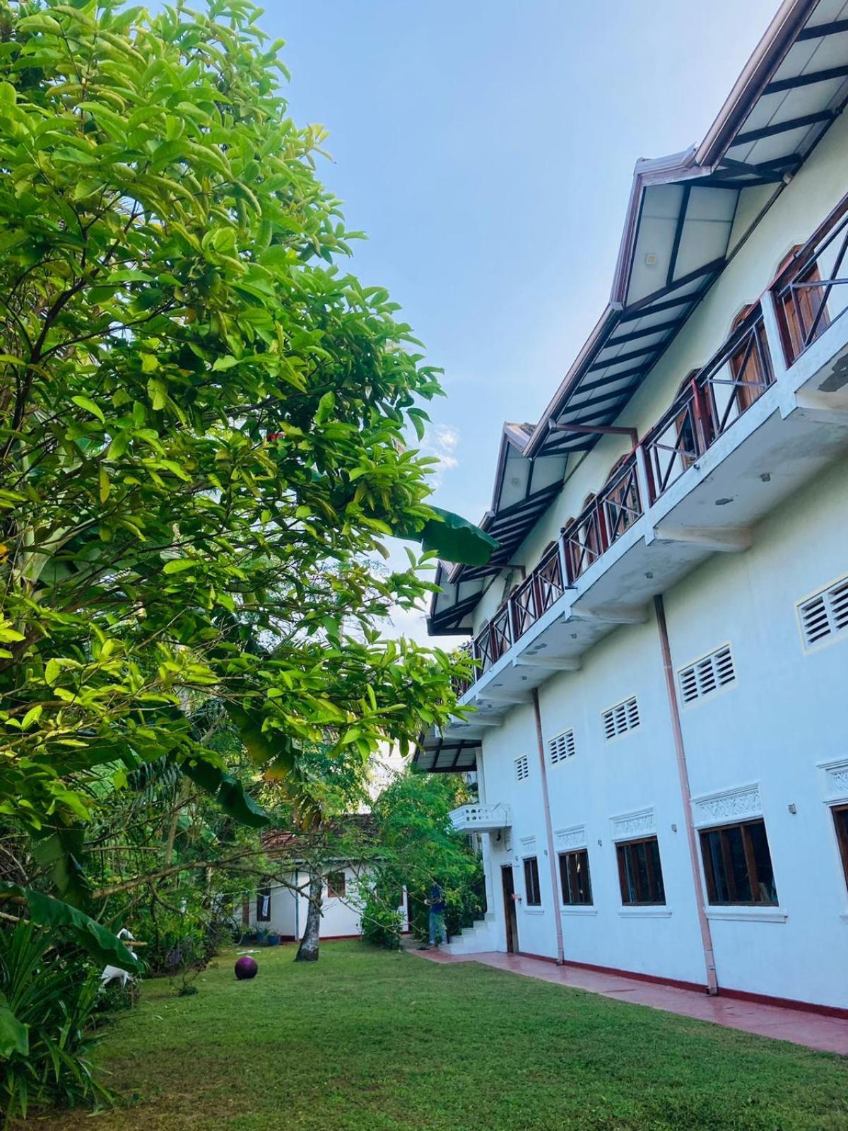 Skywalker Guest House Weligama Extérieur photo